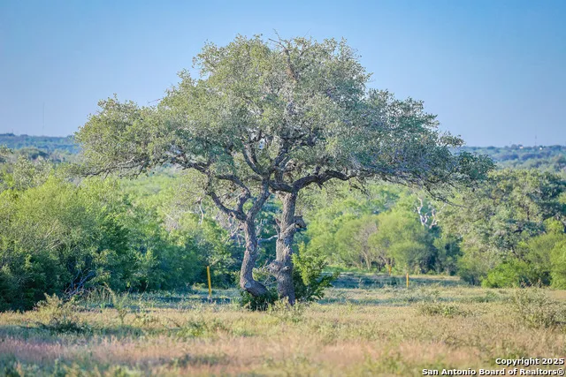 000 County Line Rd # 120 Beeville, TX 78102