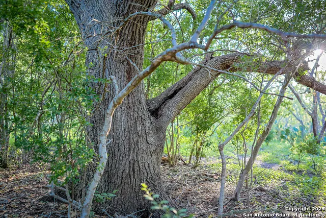 000 County Line Rd # 120 Beeville, TX 78102