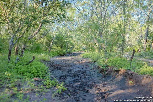 000 County Line Rd # 120 Beeville, TX 78102
