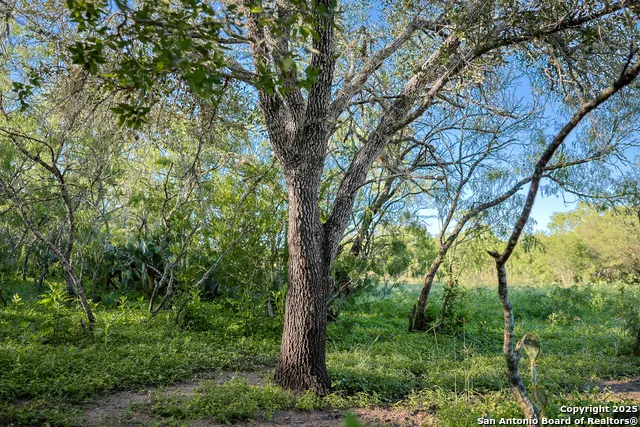 000 County Line Rd # 120 Beeville, TX 78102