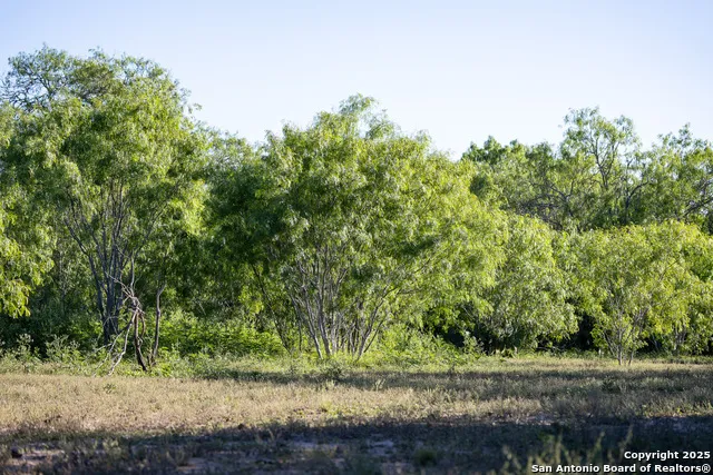 000 County Line Rd # 120 Beeville, TX 78102