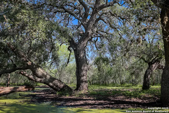 000 County Line Rd # 120 Beeville, TX 78102