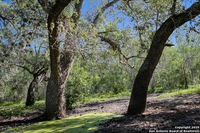 000 County Line Rd # 120 Beeville, TX 78102