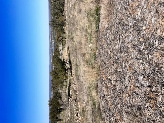 202 TBD Westridge Way, Big Creek Ranch Kingsland, TX 78639
