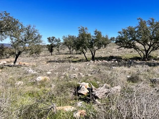 202 TBD Westridge Way, Big Creek Ranch Kingsland, TX 78639
