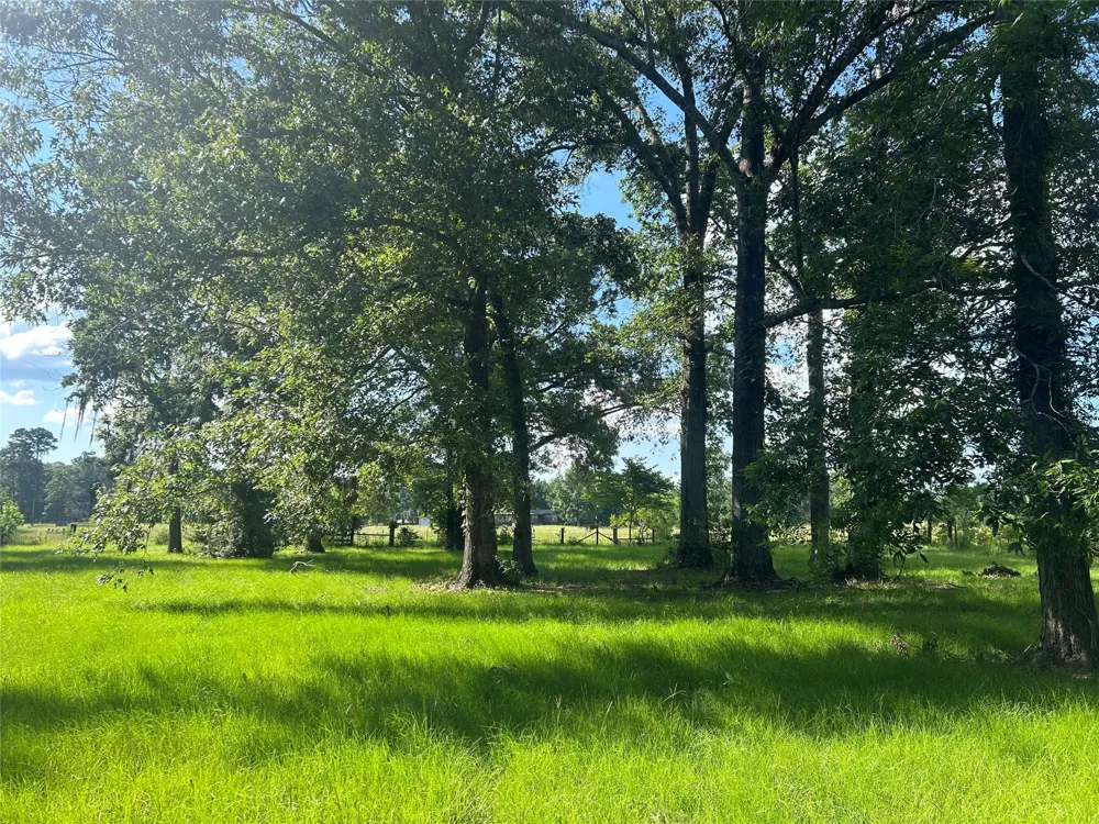 164 Parker Road Corrigan, TX 75939