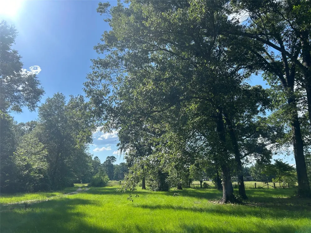 164 Parker Road Corrigan, TX 75939