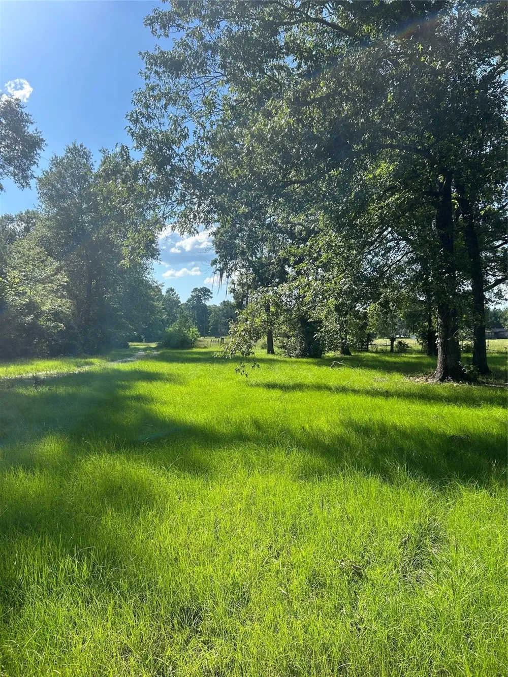 164 Parker Road Corrigan, TX 75939