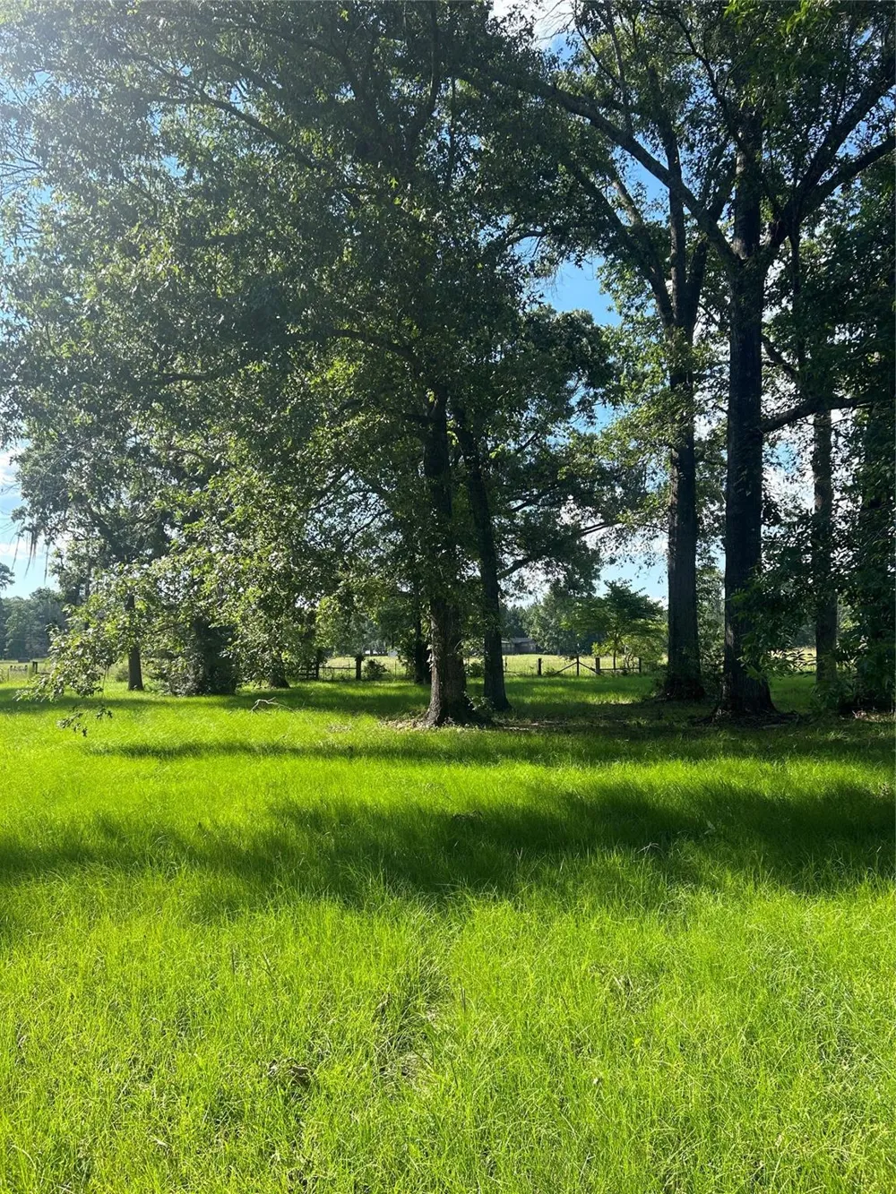 164 Parker Road Corrigan, TX 75939