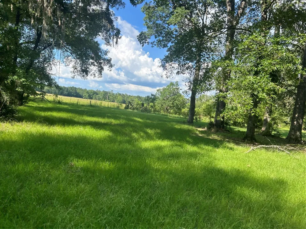 164 Parker Road Corrigan, TX 75939