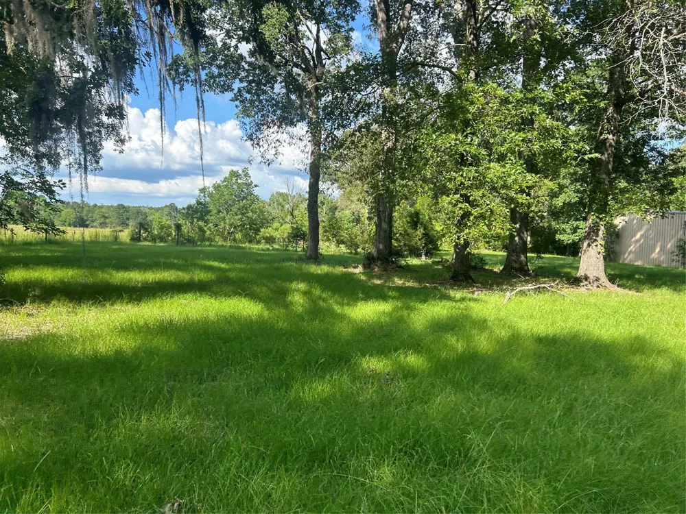 164 Parker Road Corrigan, TX 75939