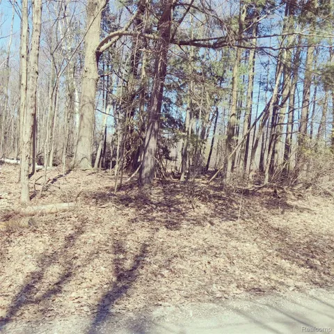 Schott Road