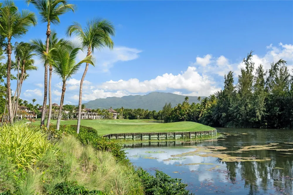 Bahia Beach Resort OCEAN DRIVE #3102 Rio Grande, PR 00745