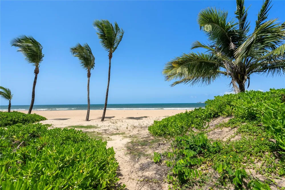 Bahia Beach Resort OCEAN DRIVE #3102 Rio Grande, PR 00745