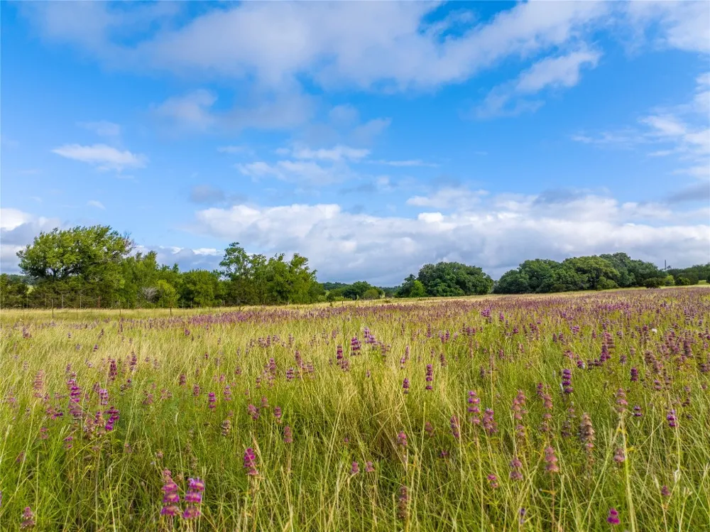 Vaquero Vista Trail Lane Lampasas, TX 78608
