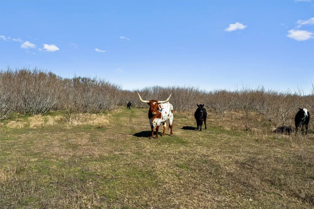 Rolling Ridge Road Lockhart, TX 78644
