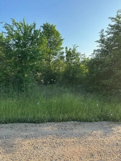 Donahoe Road Coldspring, TX 77331