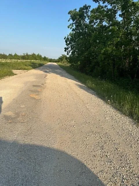 Donahoe Road Coldspring, TX 77331