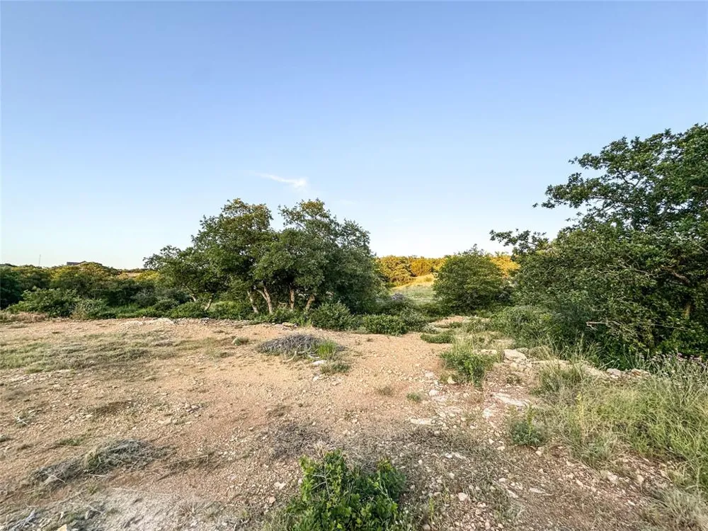 Hidden Shores Drive Cisco, TX 76437
