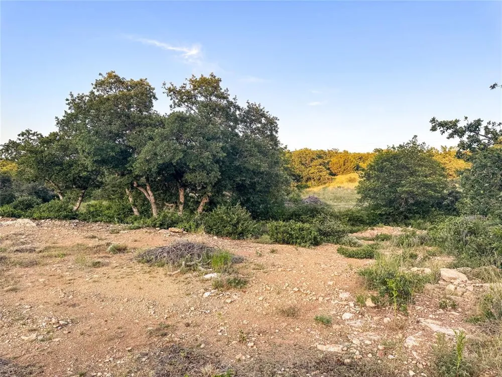 Hidden Shores Drive Cisco, TX 76437