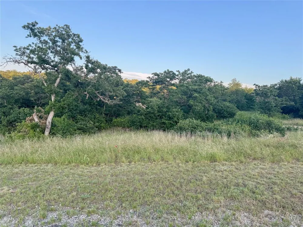 Hidden Shores Drive Cisco, TX 76437