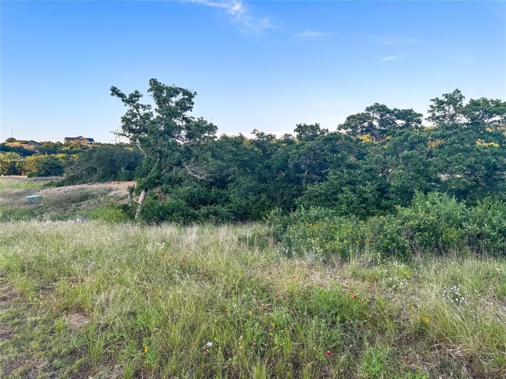 Hidden Shores Drive Cisco, TX 76437