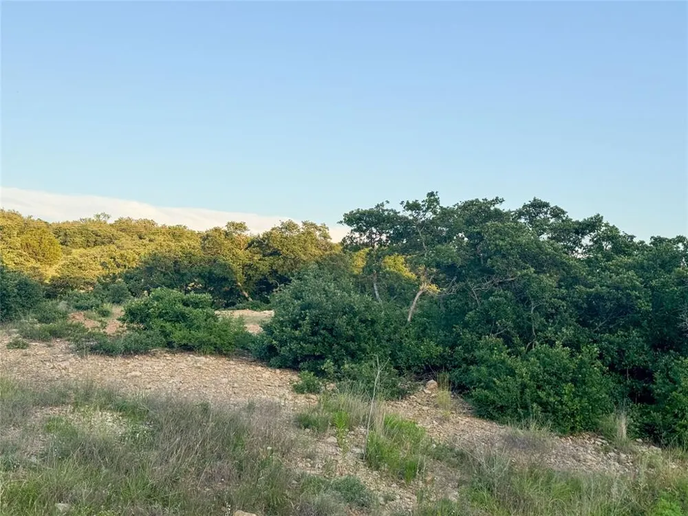 Hidden Shores Drive Cisco, TX 76437