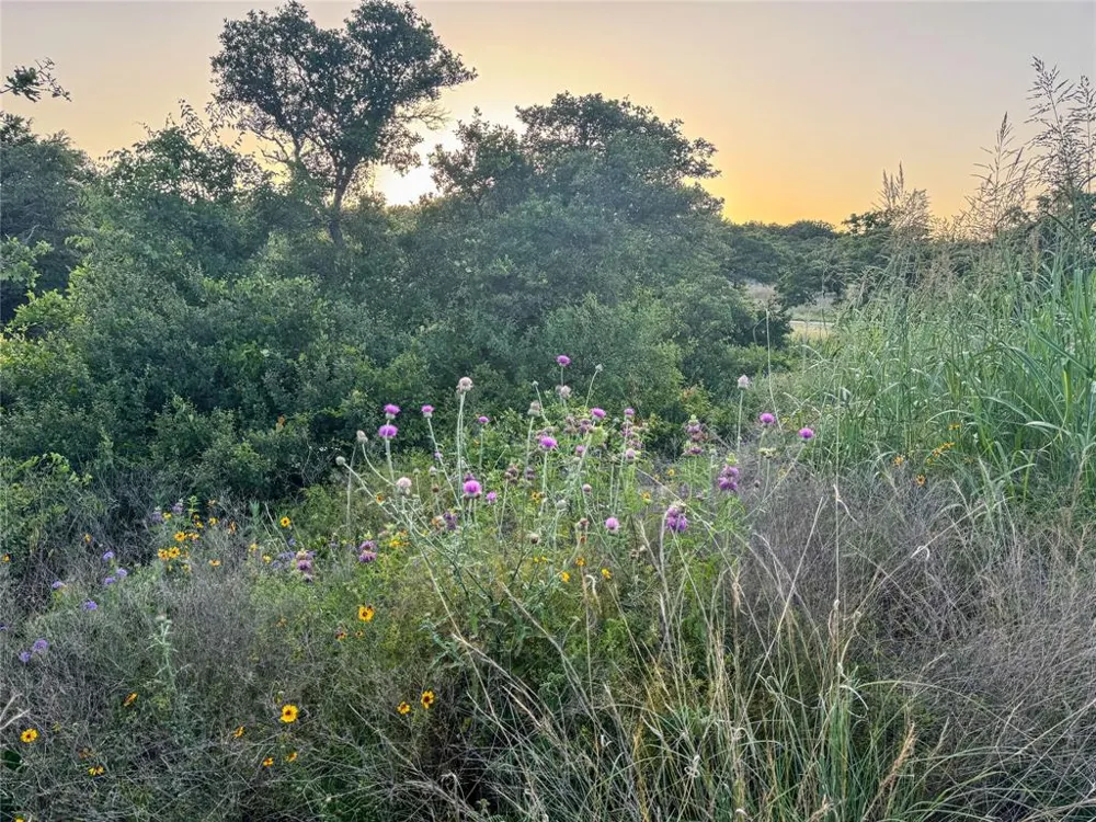 Hidden Shores Drive Cisco, TX 76437