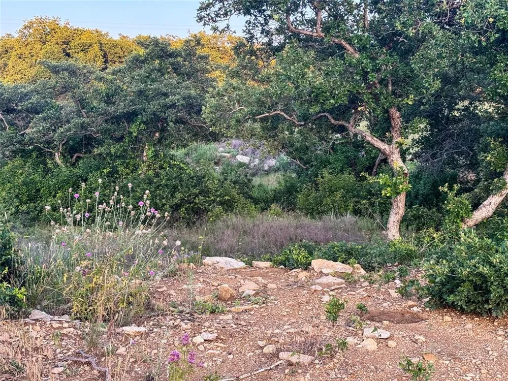 Hidden Shores Drive Cisco, TX 76437