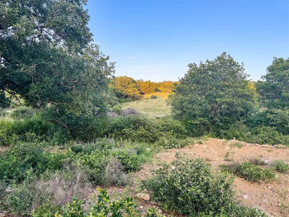 Hidden Shores Drive Cisco, TX 76437
