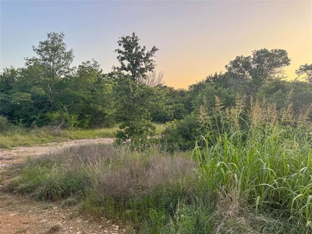 Hidden Shores Drive Cisco, TX 76437