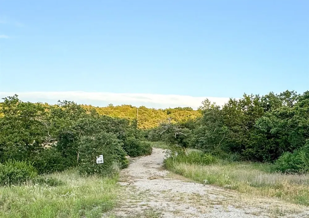 Hidden Shores Drive Cisco, TX 76437