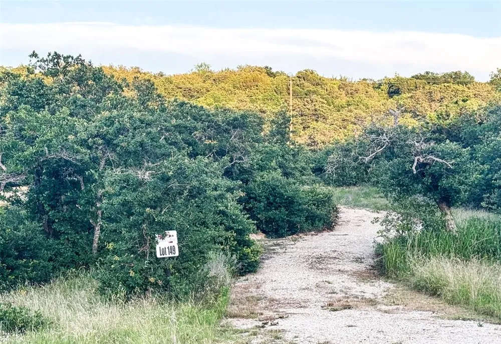 Hidden Shores Drive Cisco, TX 76437