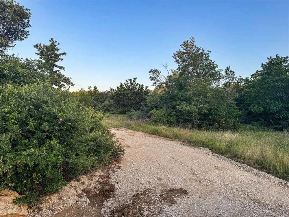Hidden Shores Drive Cisco, TX 76437