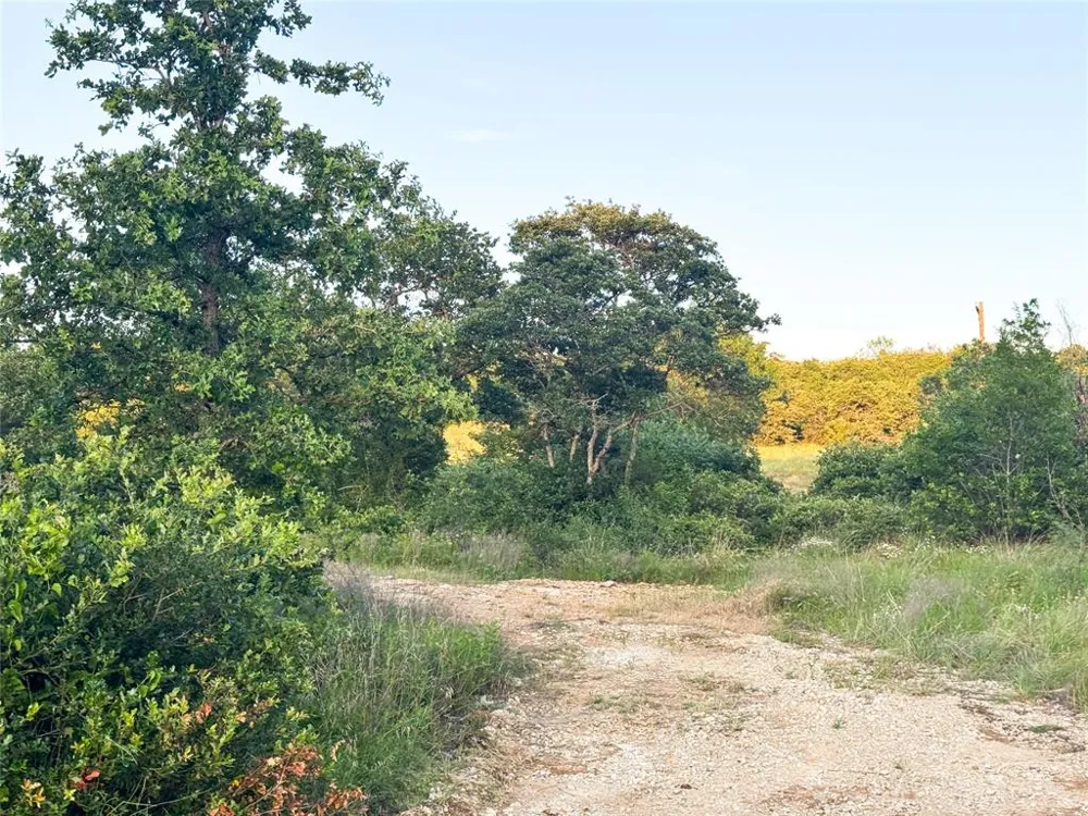 Hidden Shores Drive Cisco, TX 76437