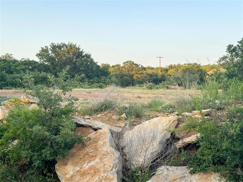 Hidden Shores Drive Cisco, TX 76437