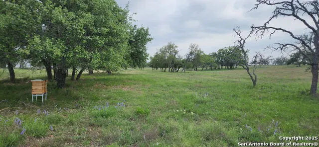 153 Fallow Dr Harper, TX 78631