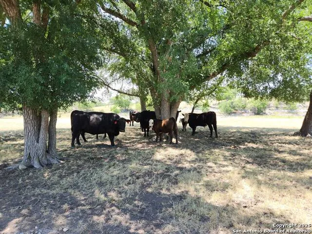 153 Fallow Dr Harper, TX 78631