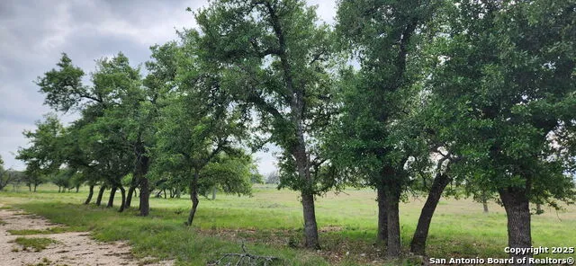 153 Fallow Dr Harper, TX 78631