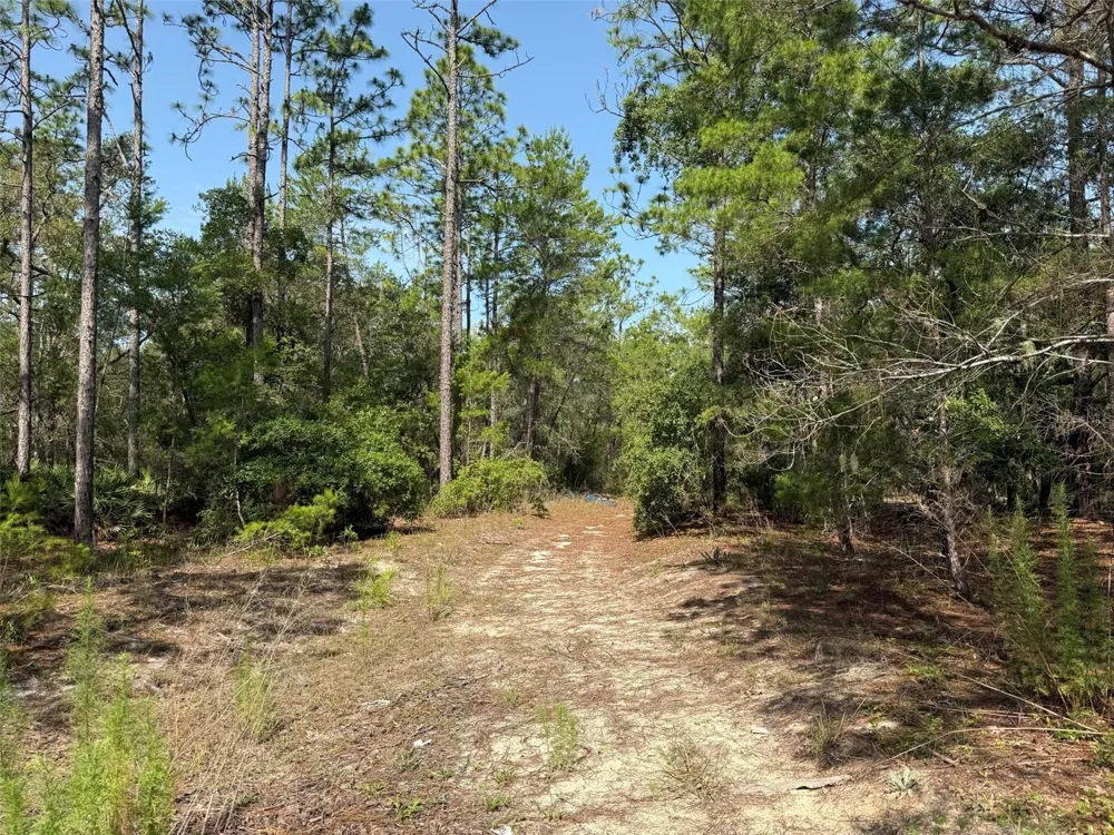 101 WASHINGTON AVENUE Satsuma, FL 32189