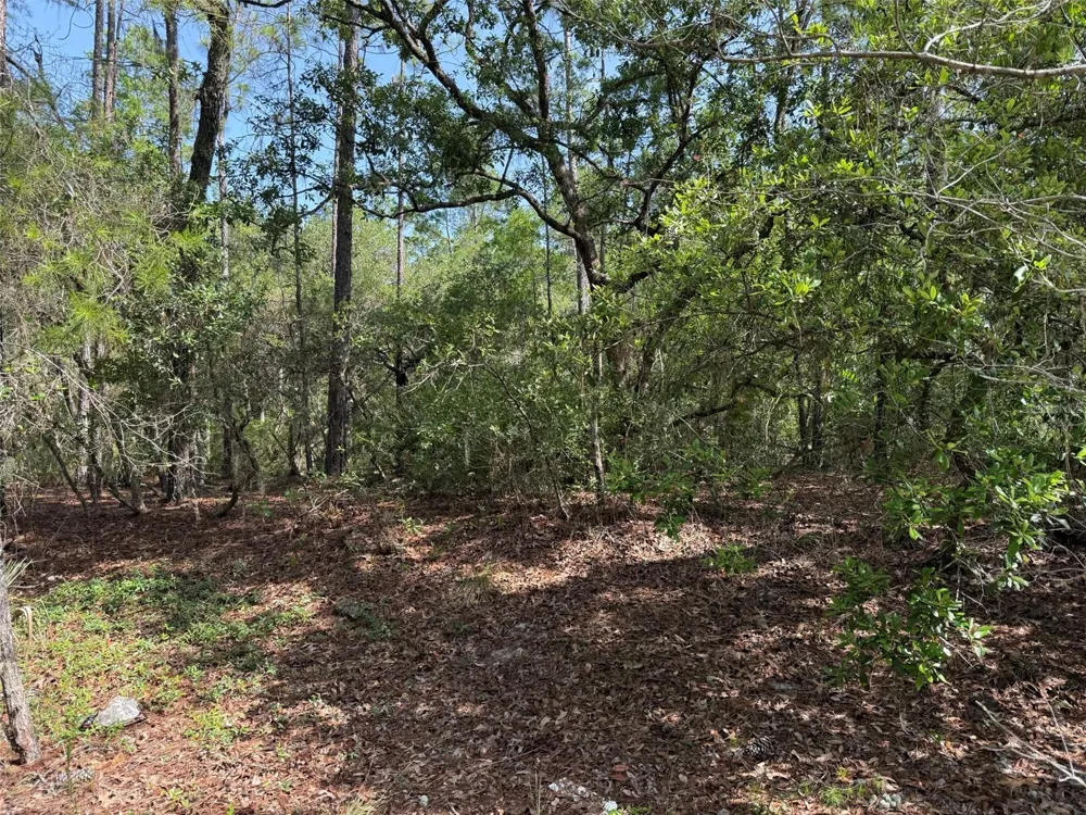 101 WASHINGTON AVENUE Satsuma, FL 32189
