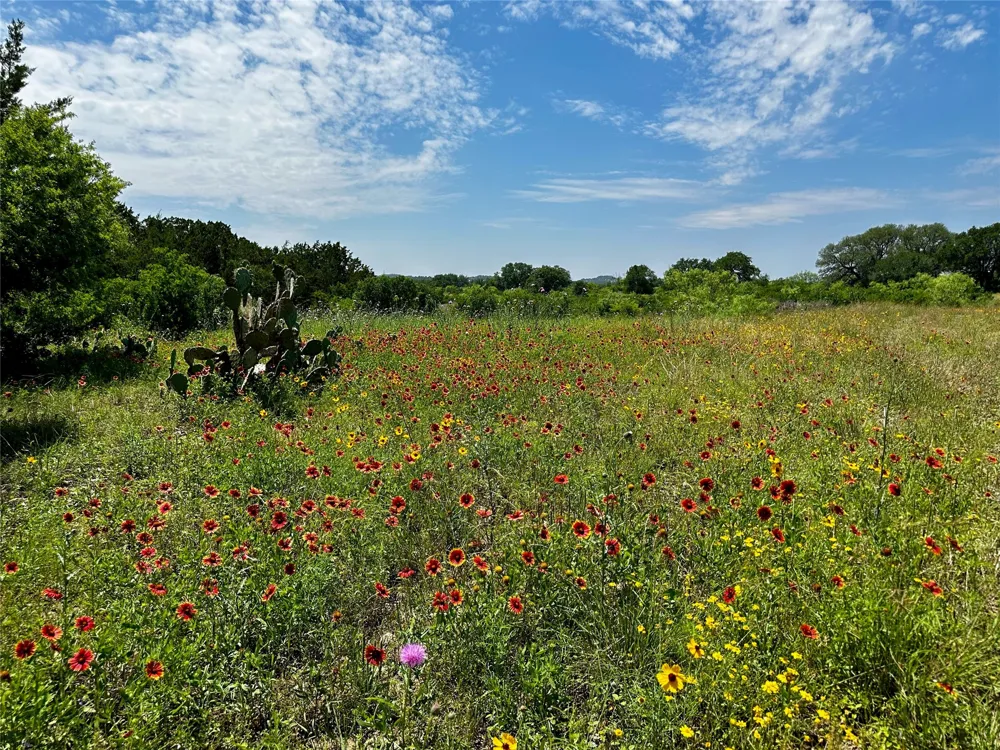 4 Colorado Canyon Drive Marble Falls, TX 78654