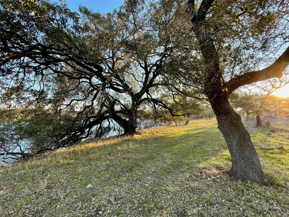 4 Colorado Canyon Drive Marble Falls, TX 78654