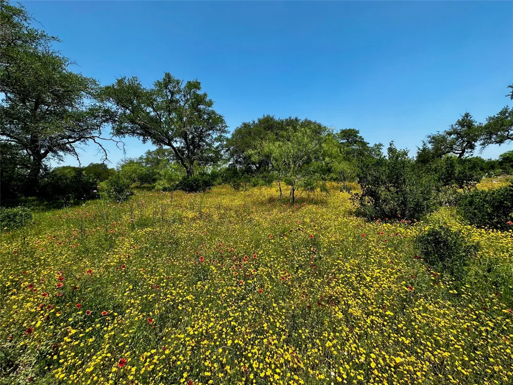 4 Colorado Canyon Drive Marble Falls, TX 78654