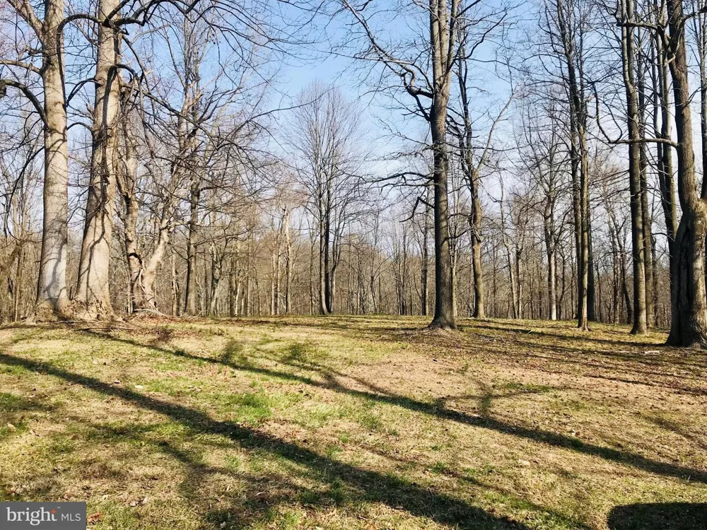3164 DALRYMPLE ROAD Chesapeake Beach, MD 20732