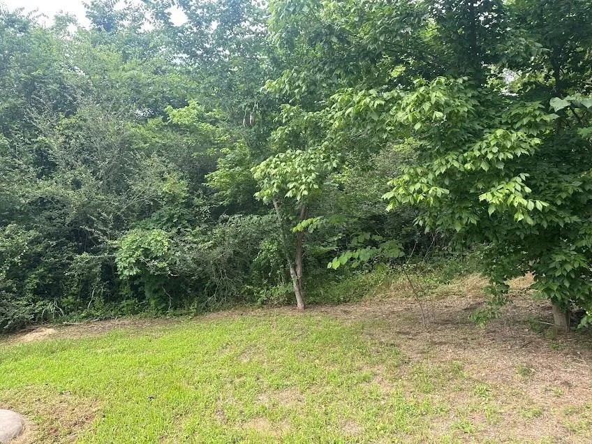 707 E Broadway Street Winnsboro, TX 75494