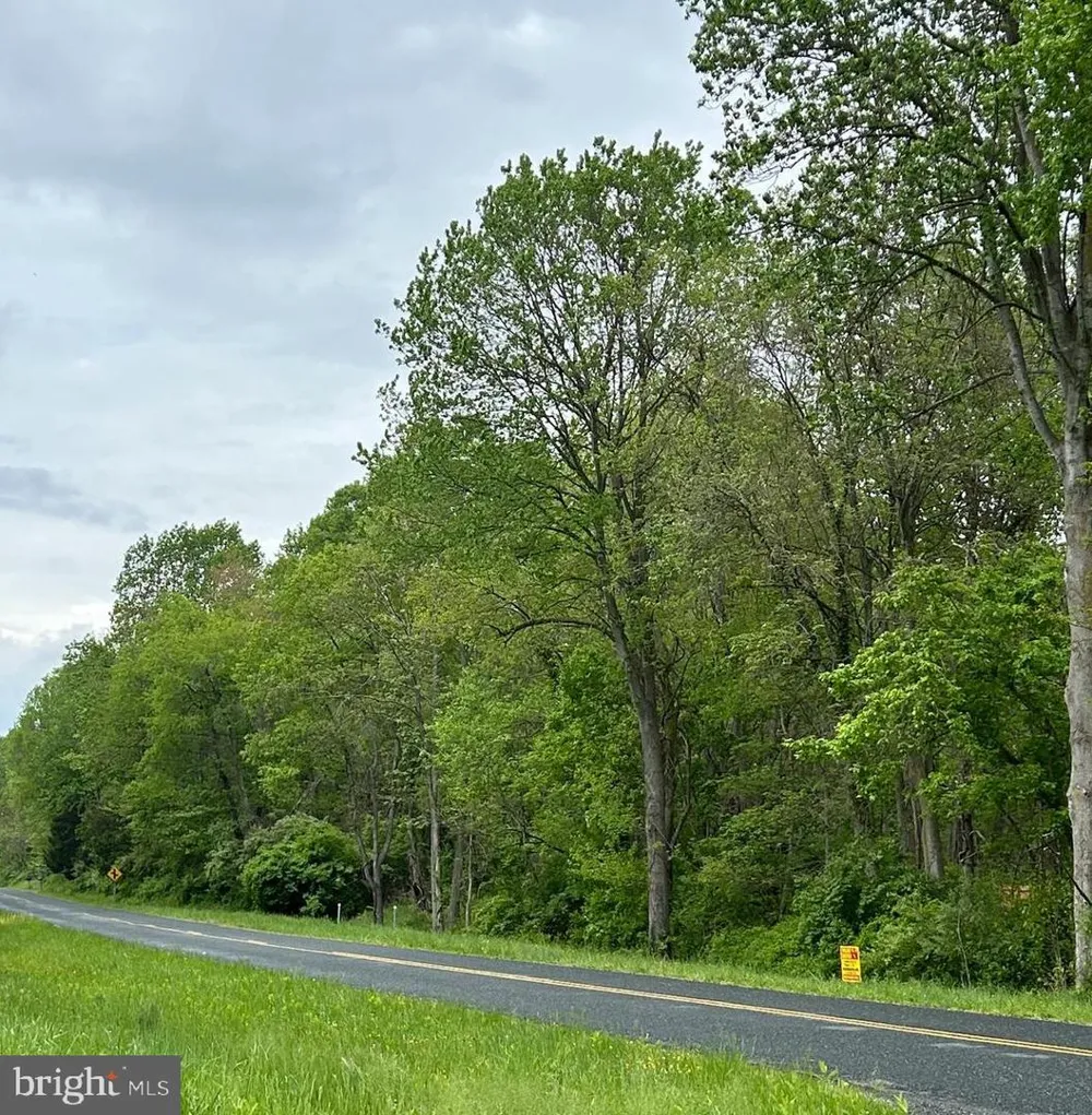 BUCK NECK ROAD Chestertown, MD 21620