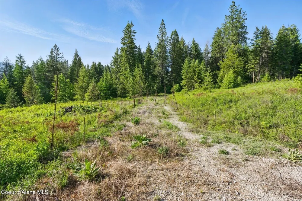 65 Beacon Hill Road Cocolalla, ID 83813