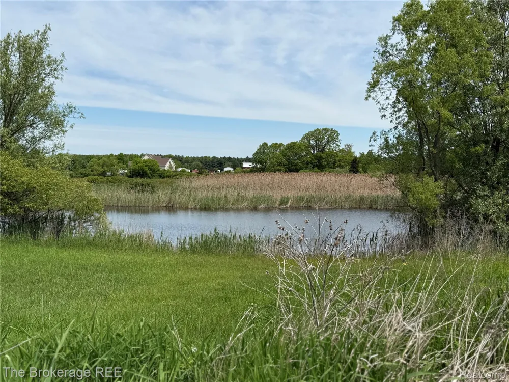 3020 Merwin Road Elba Township, MI 48446