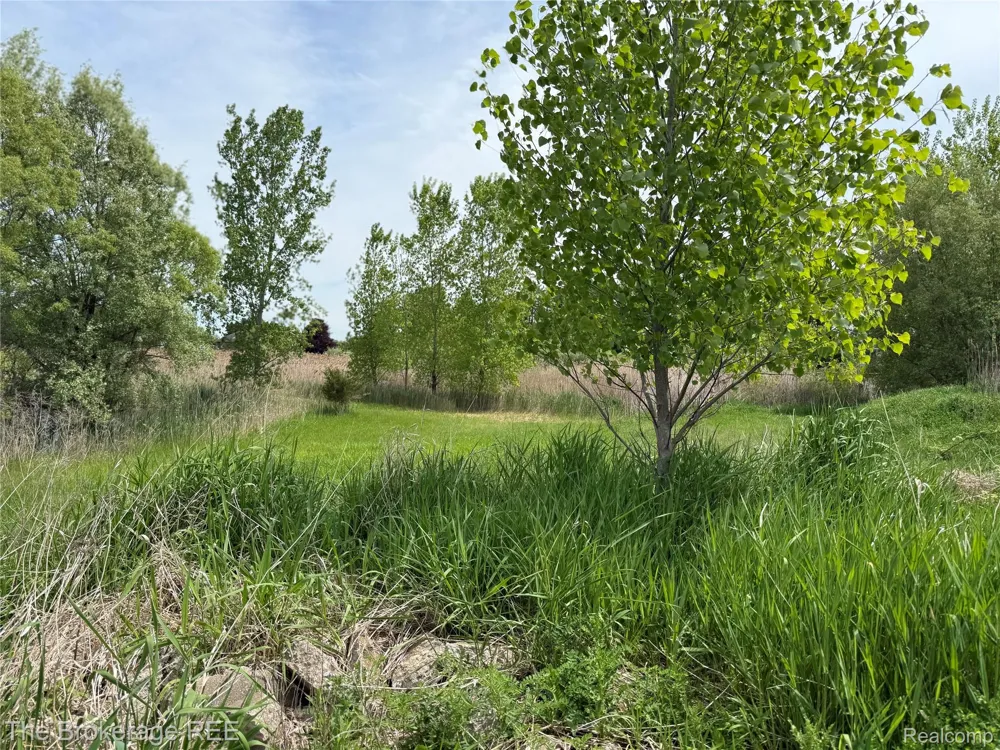 3020 Merwin Road Elba Township, MI 48446